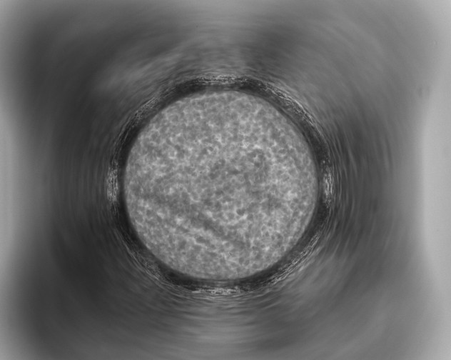 X0000093481204200711020927