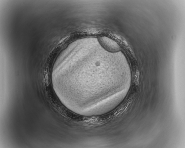 X0000093481205200711020927