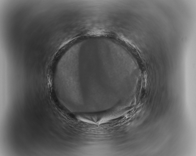 X0000093481206200711020927