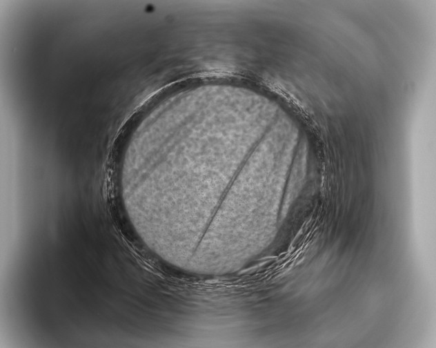 X0000093481208200711020927