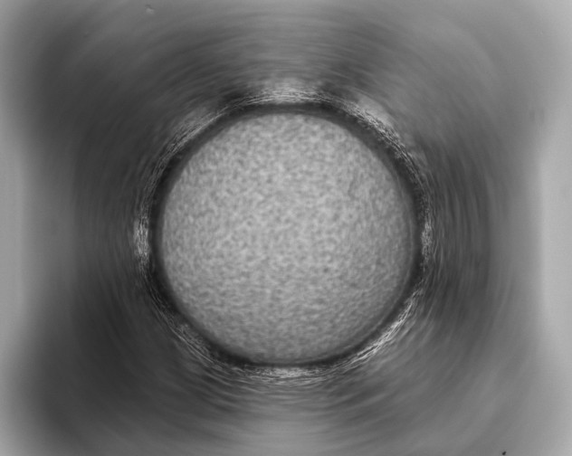 X0000093481209200711020927