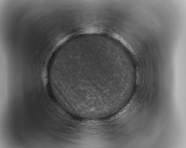 X0000093481213200711020927
