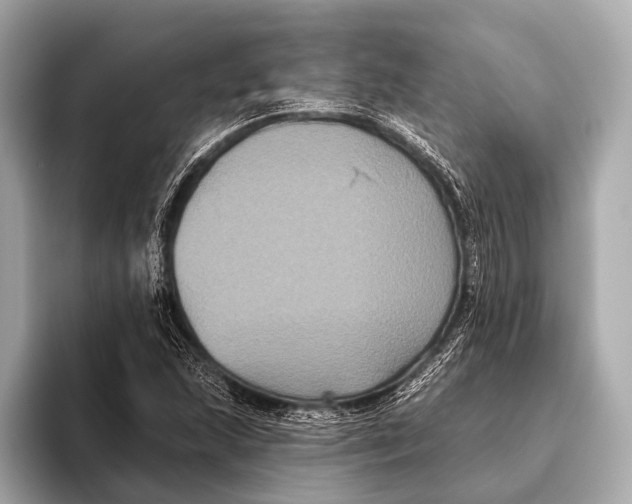 X0000093481215200711020927