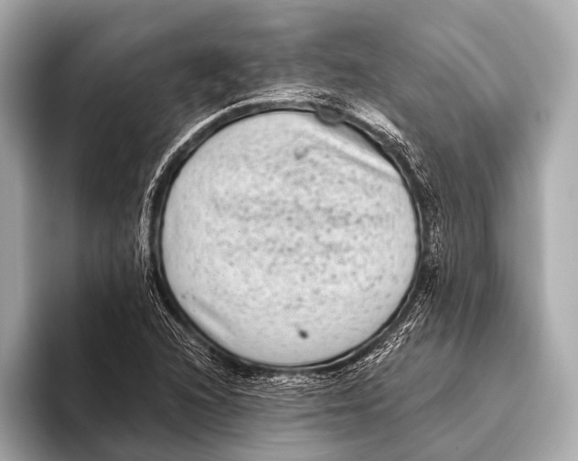 X0000093481216200711020927