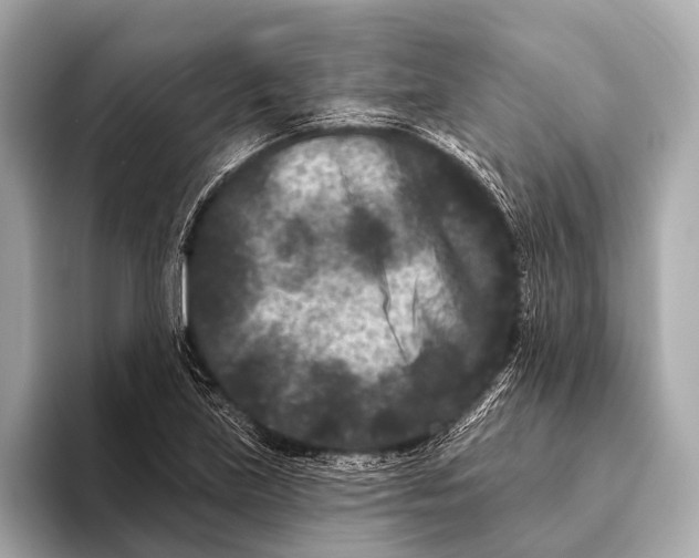 X0000093481219200711020927