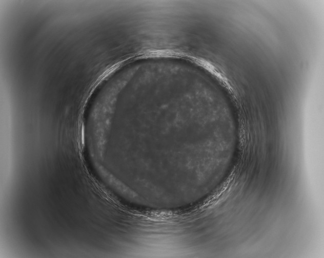 X0000093481221200711020927
