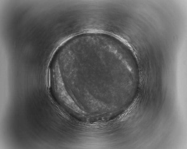 X0000093481223200711020927