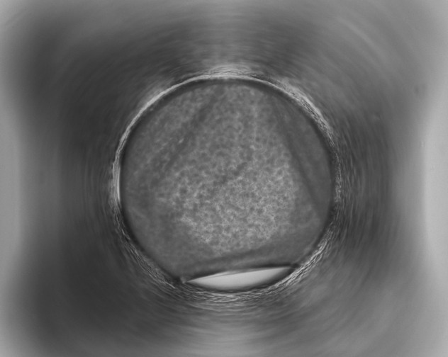 X0000093481224200711020927