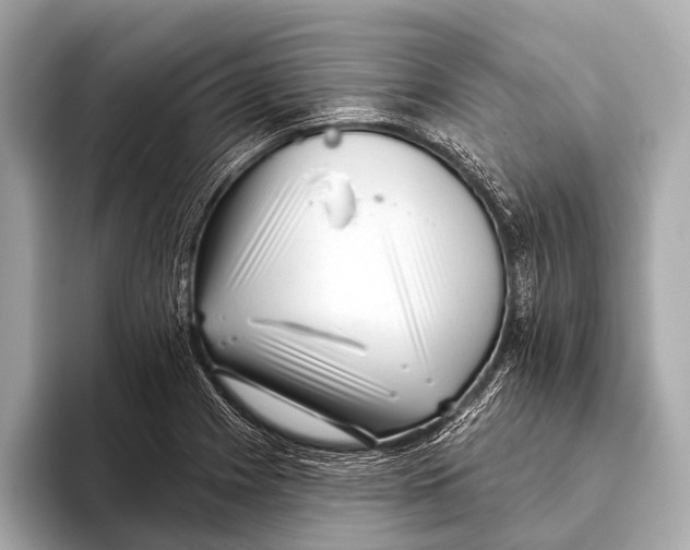 X0000093481225200711020927