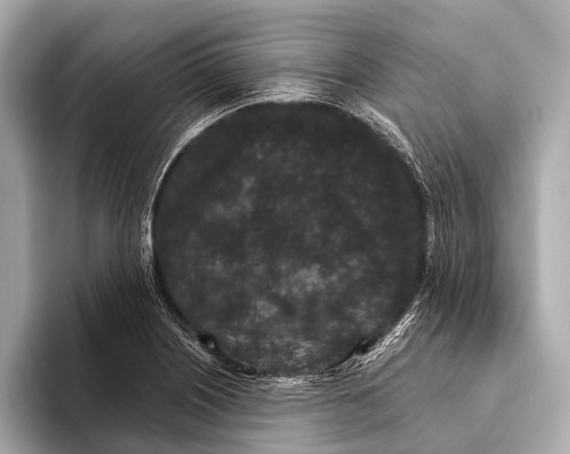 X0000093481226200711020927
