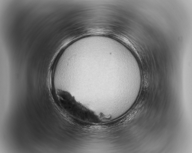 X0000093481227200711020927