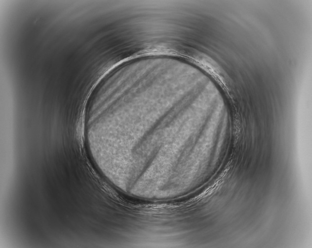 X0000093481228200711020927