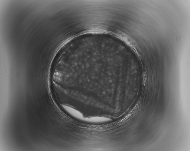 X0000093481229200711020927