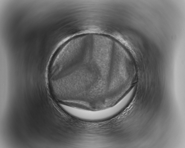 X0000093481230200711020927
