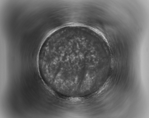 X0000093481231200711020927