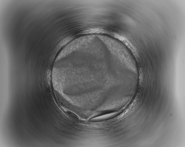 X0000093481233200711020927