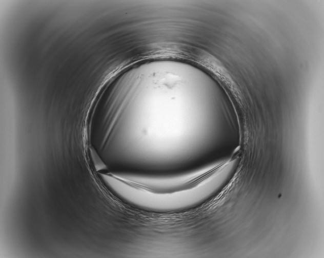 X0000093481234200711020927