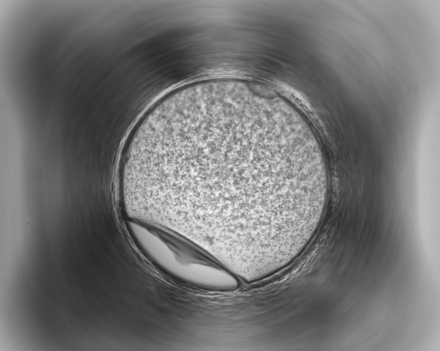 X0000093481236200711020927