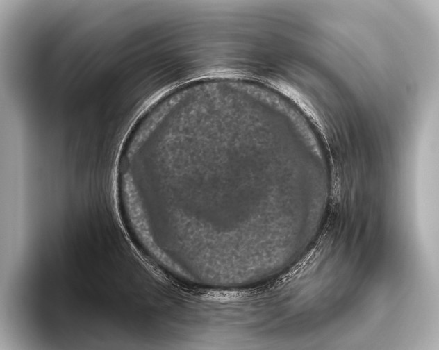 X0000093481237200711020927