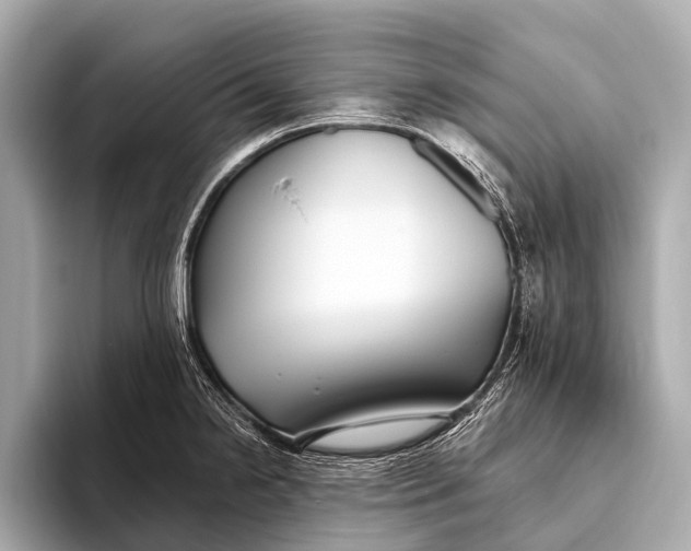 X0000093481238200711020927