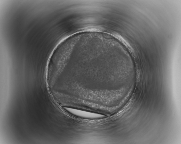 X0000093481240200711020927