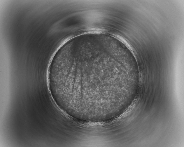 X0000093481243200711020927