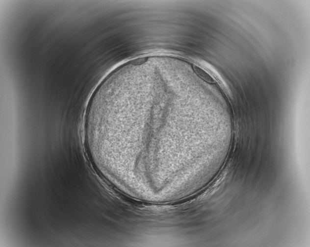 X0000093481244200711020927