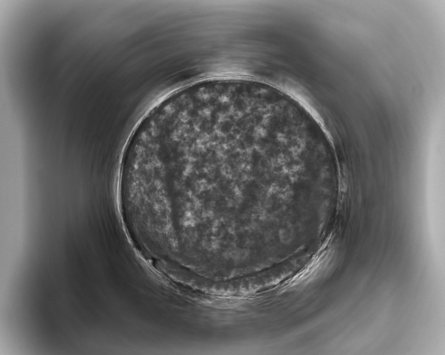 X0000093481245200711020927