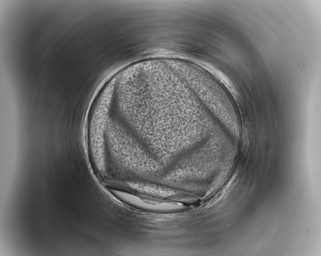 X0000093481247200711020927