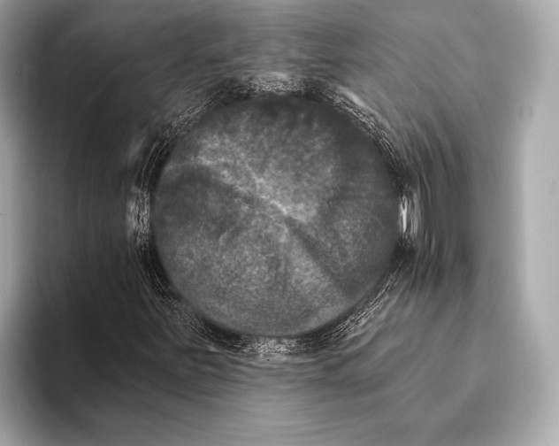 X0000093481251200711020927