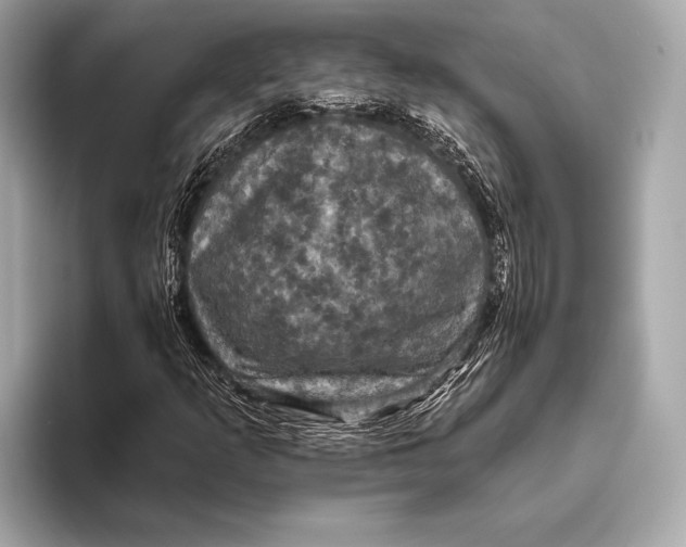 X0000093481253200711020927