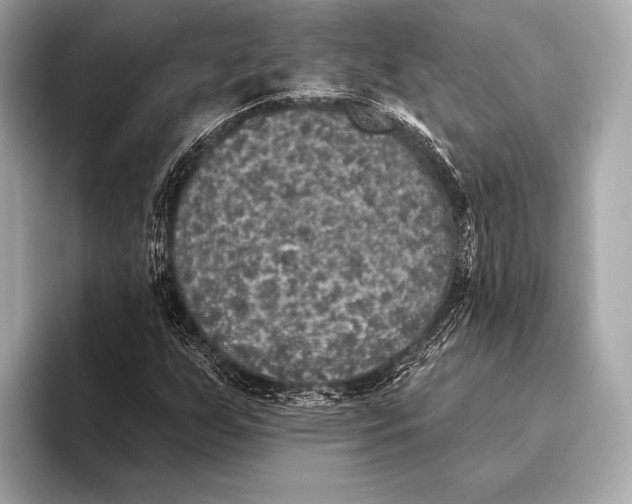 X0000093481255200711020927