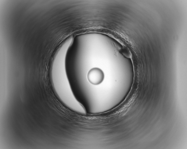 X0000093481257200711020927