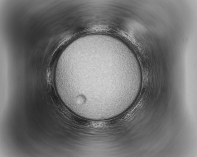 X0000093481258200711020927