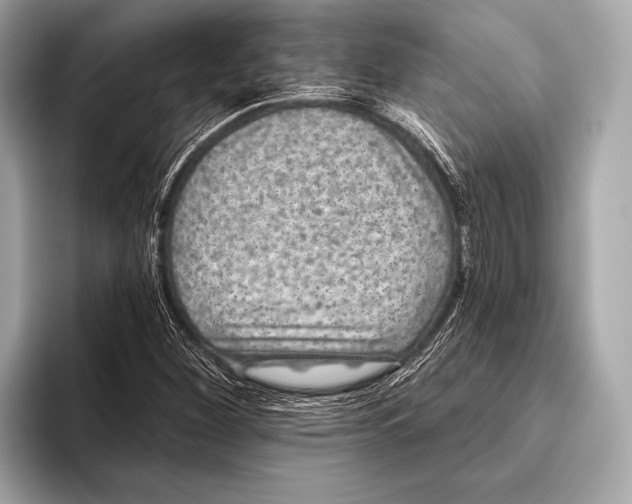 X0000093481260200711020927
