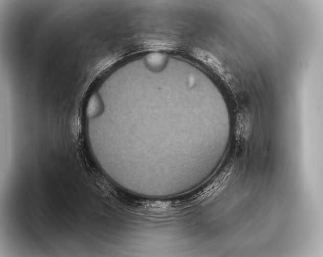 X0000093481261200711020927