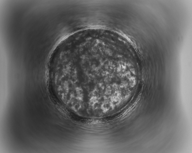 X0000093481263200711020927