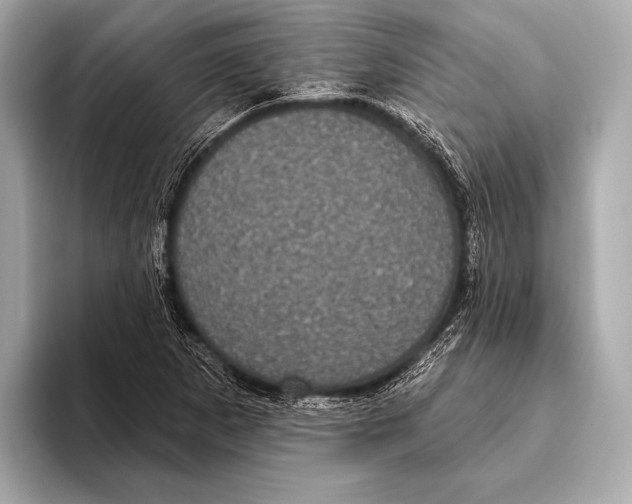 X0000093481265200711020927