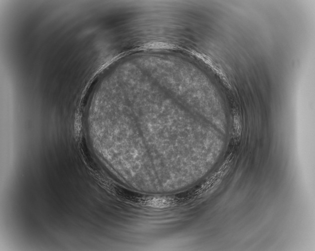 X0000093481266200711020927