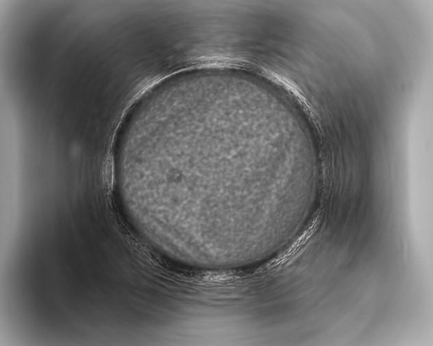 X0000093481267200711020927