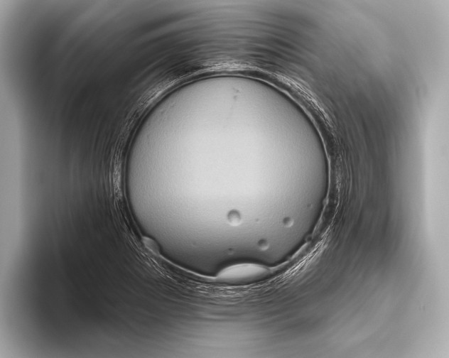 X0000093481273200711020927