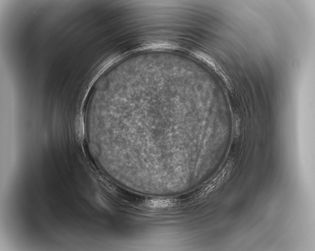X0000093481274200711020927