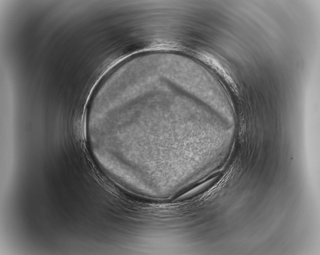 X0000093481276200711020927