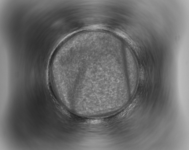 X0000093481278200711020927