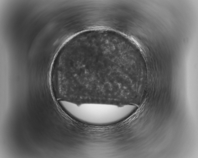 X0000093481279200711020927