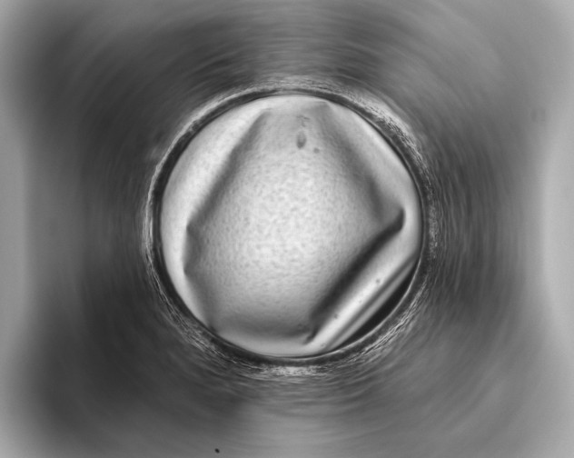 X0000093481280200711020926