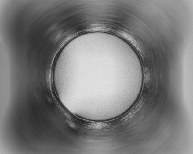 X0000093481282200711020926