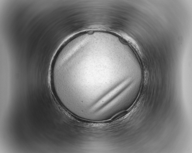 X0000093481288200711020926