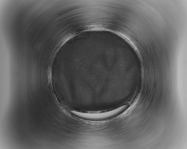 X0000093481289200711020926
