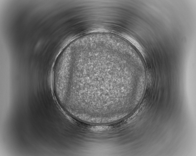 X0000093481290200711020926